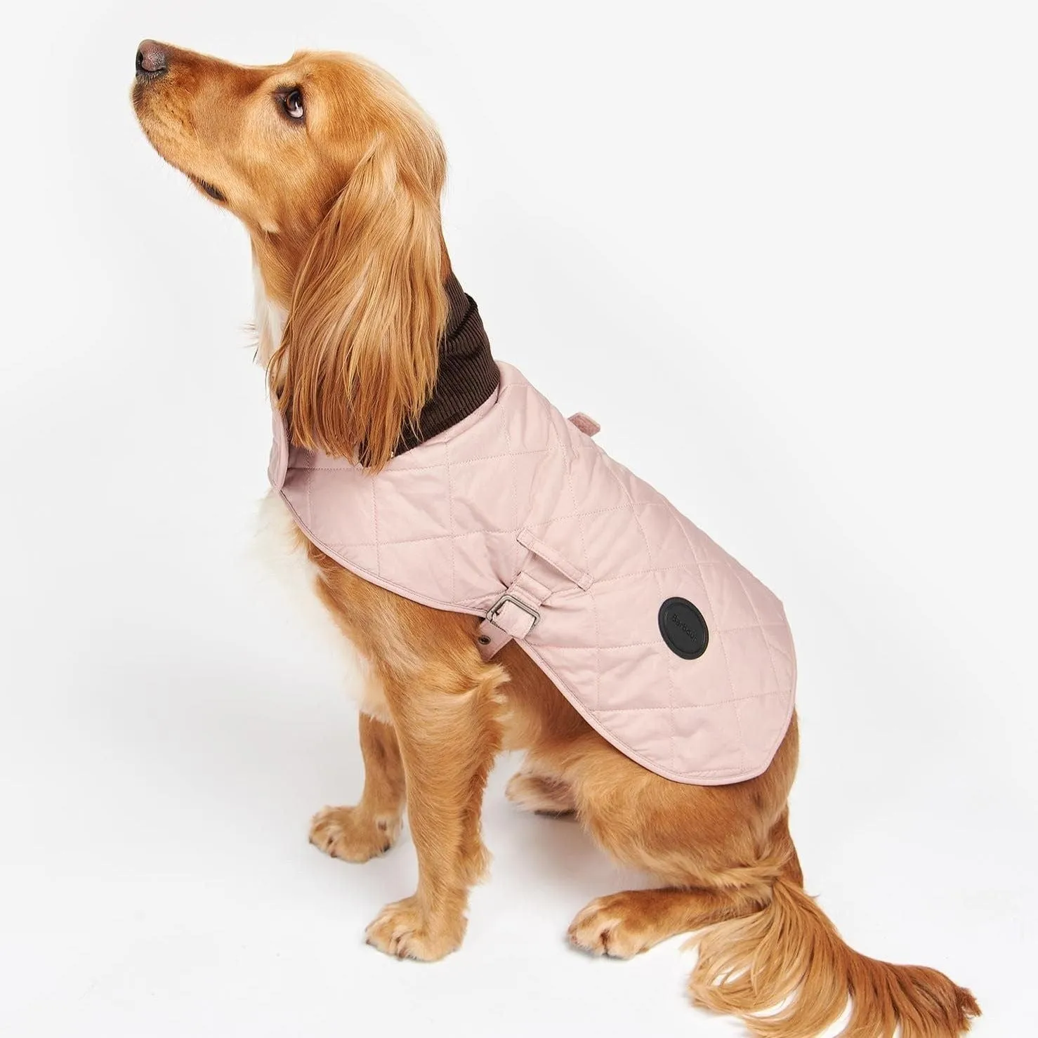 Barbour Small Quilted Dog Coat In Pink