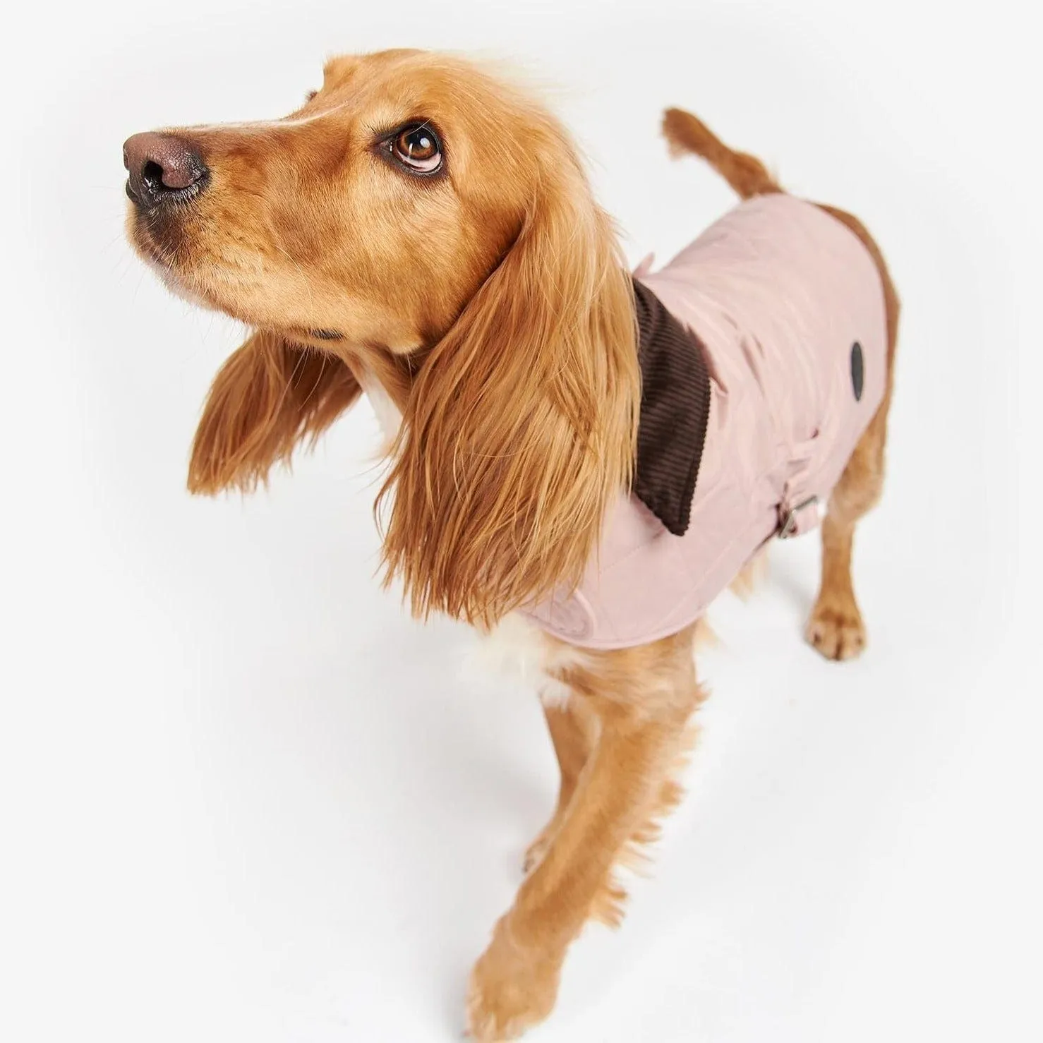 Barbour Small Quilted Dog Coat In Pink