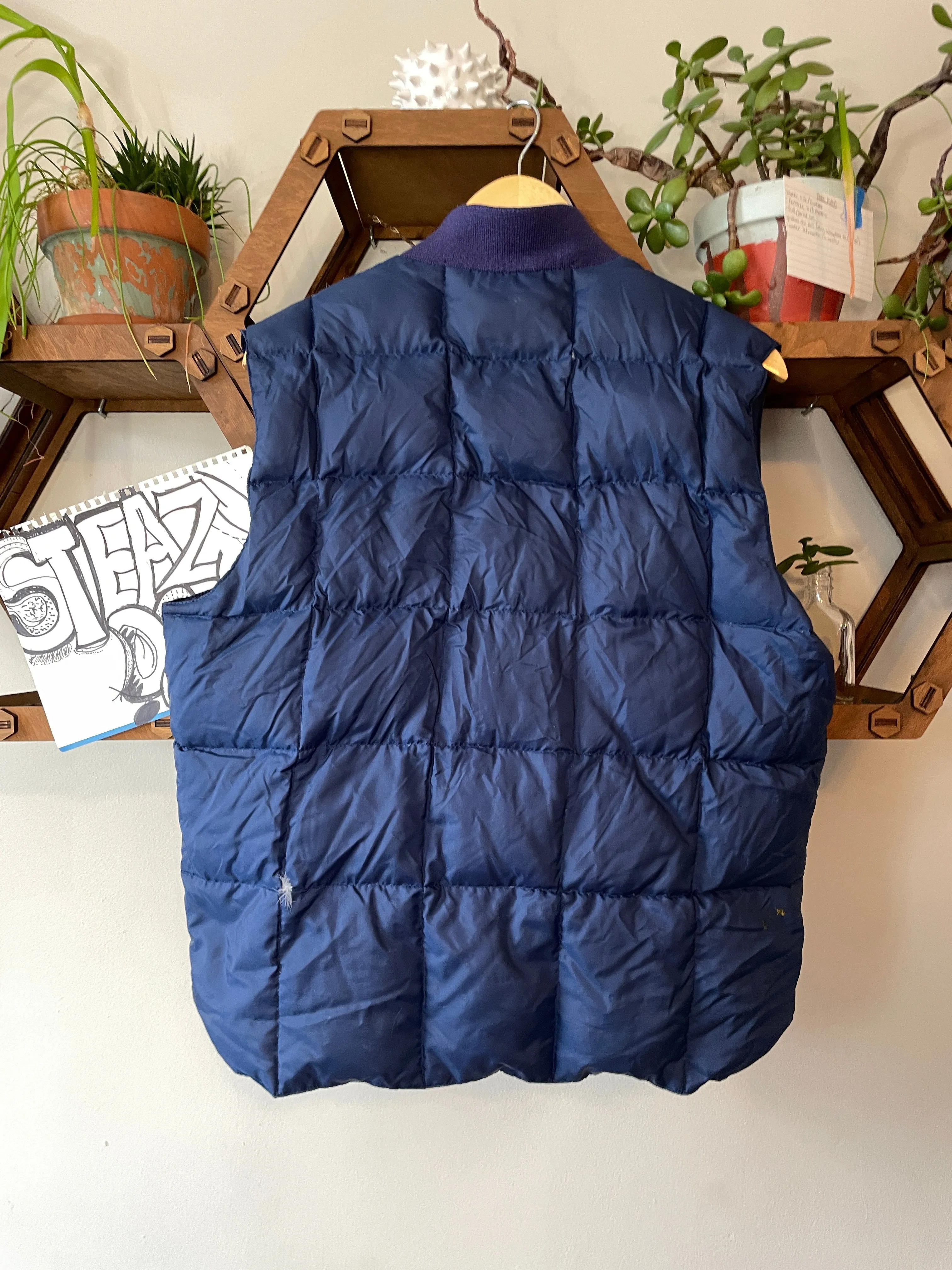 Blue Goose Down Vest