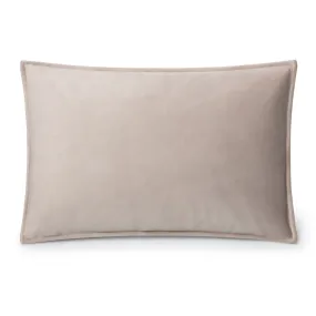 Chalk - Velvet Oblong Cushion