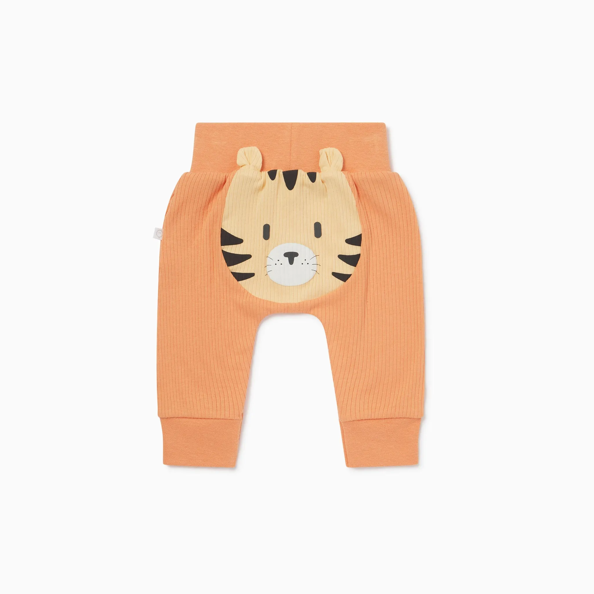 Rainforest Bodysuit & Tiger Joggers Outfit